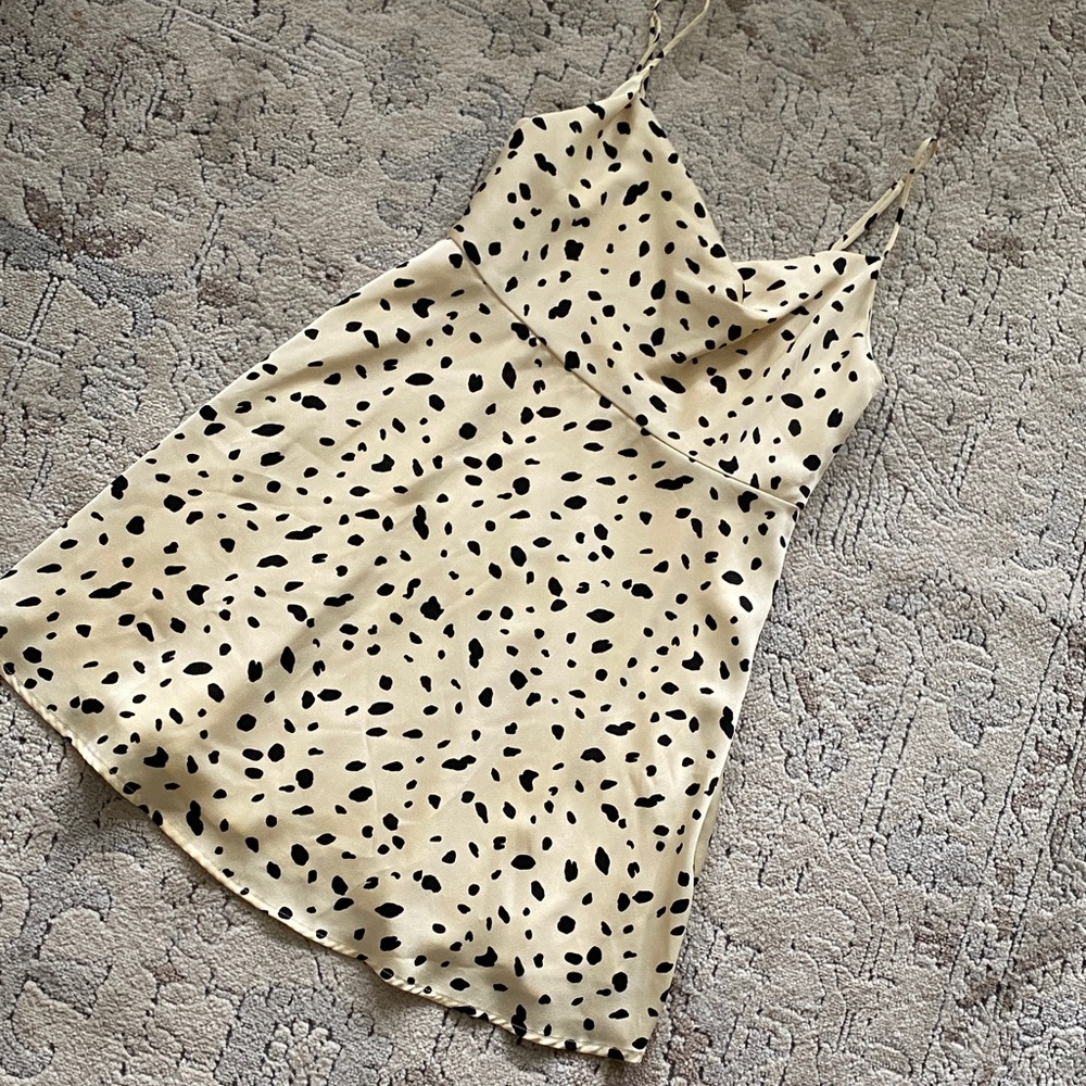 Astr Cream and Black Mini Dress
